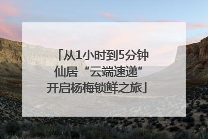 从1小时到5分钟 仙居“云端速递”开启杨梅锁鲜之旅