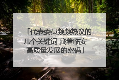 代表委员频频热议的几个关键词 藏着临安高质量发展的密码