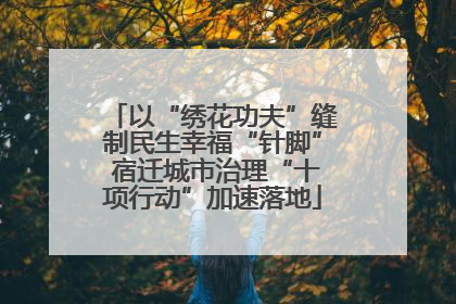 以“绣花功夫”缝制民生幸福“针脚” 宿迁城市治理“十项行动”加速落地