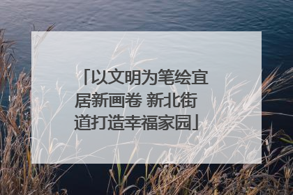 以文明为笔绘宜居新画卷 新北街道打造幸福家园