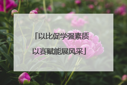 以比促学强素质 以赛赋能展风采