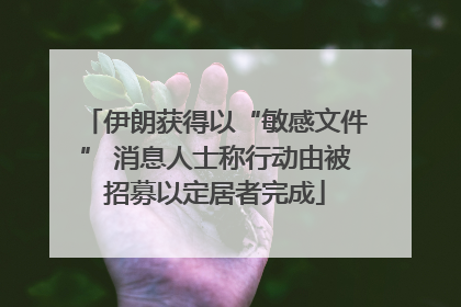 伊朗获得以“敏感文件” 消息人士称行动由被招募以定居者完成