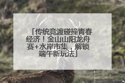 传统竞渡碰撞青春经济！金山山阳龙舟赛+水岸市集，解锁端午新玩法