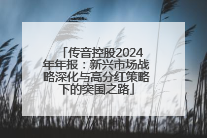 传音控股2024年年报：新兴市场战略深化与高分红策略下的突围之路