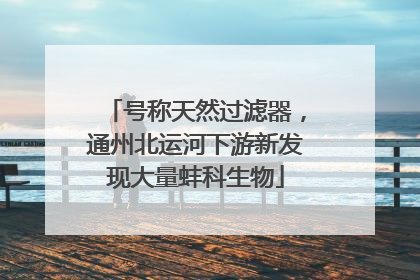 号称天然过滤器，通州北运河下游新发现大量蚌科生物