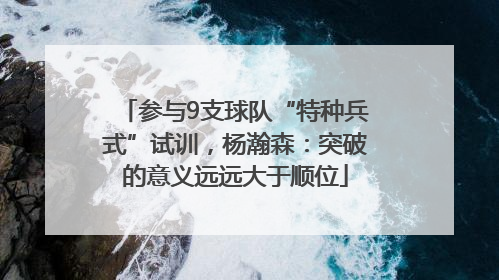 参与9支球队“特种兵式”试训，杨瀚森：突破的意义远远大于顺位