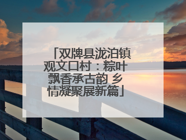 双牌县泷泊镇观文口村：粽叶飘香承古韵 乡情凝聚展新篇