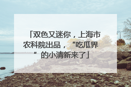 双色又迷你，上海市农科院出品，“吃瓜界”的小清新来了