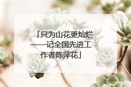 只为山花更灿烂——记全国先进工作者陈萍花