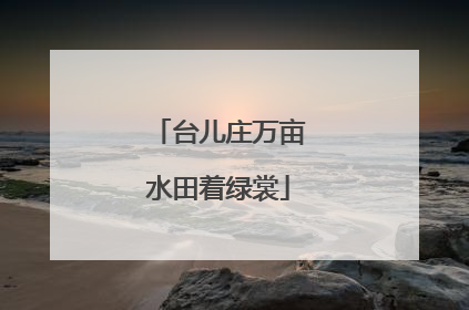台儿庄万亩水田着绿裳