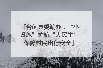 台前县委编办：“小设施”护航“大民生” 保障村民出行安全