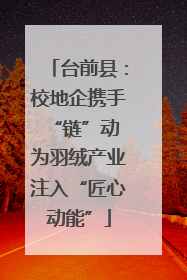 台前县：校地企携手“链”动 为羽绒产业注入“匠心动能”