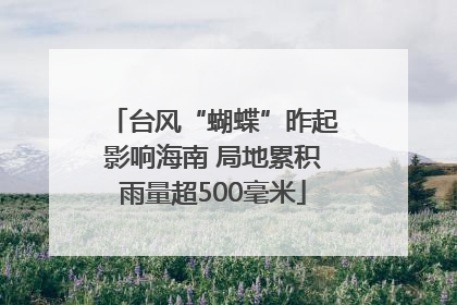 台风“蝴蝶”昨起影响海南 局地累积雨量超500毫米