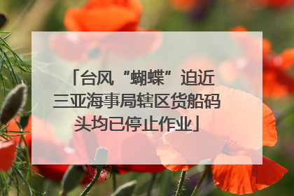台风“蝴蝶”迫近 三亚海事局辖区货船码头均已停止作业