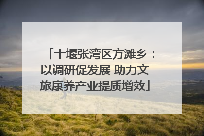 十堰张湾区方滩乡：以调研促发展 助力文旅康养产业提质增效