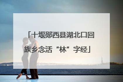 十堰郧西县湖北口回族乡念活“林”字经