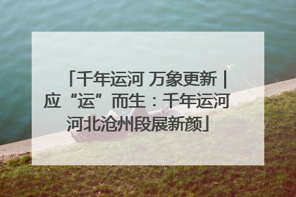 千年运河 万象更新｜应“运”而生：千年运河河北沧州段展新颜