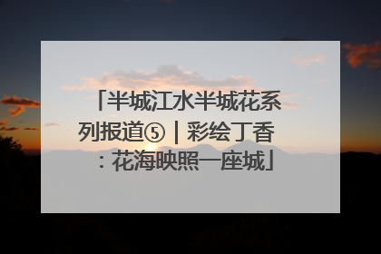 半城江水半城花系列报道⑤｜彩绘丁香：花海映照一座城