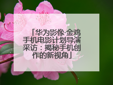 华为影像·金鸡手机电影计划导演采访：揭秘手机创作的新视角