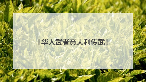 华人武者意大利传武