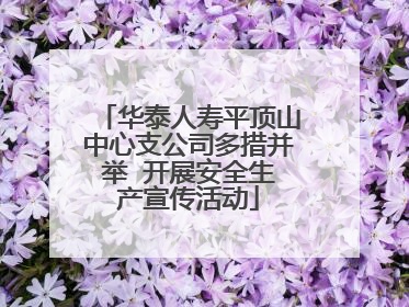华泰人寿平顶山中心支公司多措并举  开展安全生产宣传活动