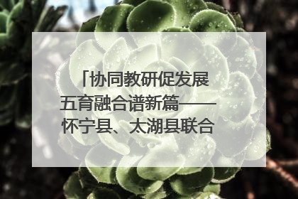 协同教研促发展 五育融合谱新篇——怀宁县、太湖县联合教研活动在月山镇中心学校成功举办