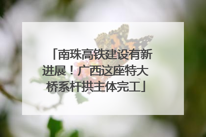 南珠高铁建设有新进展！广西这座特大桥系杆拱主体完工