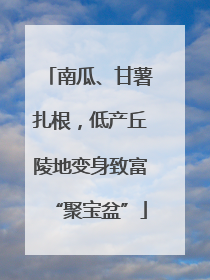 南瓜、甘薯扎根，低产丘陵地变身致富“聚宝盆”