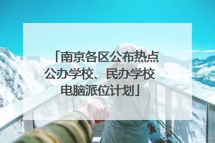 南京各区公布热点公办学校、民办学校电脑派位计划