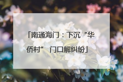 南通海门：下沉“华侨村” 门口解纠纷