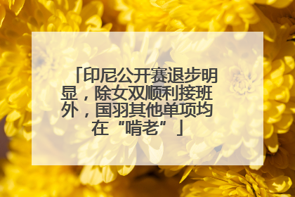 印尼公开赛退步明显，除女双顺利接班外，国羽其他单项均在“啃老”