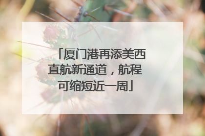 厦门港再添美西直航新通道，航程可缩短近一周