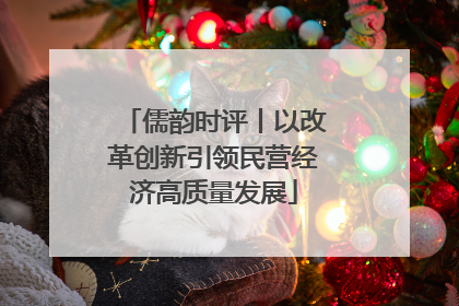儒韵时评丨以改革创新引领民营经济高质量发展