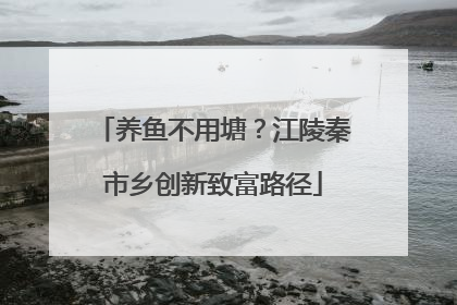 养鱼不用塘？江陵秦市乡创新致富路径