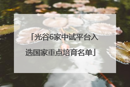 光谷6家中试平台入选国家重点培育名单