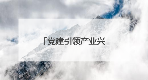 党建引领产业兴，紫云小湾村从 “靠天吃饭” 到 “抱团生金”