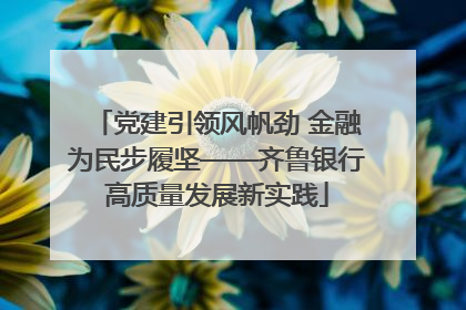 党建引领风帆劲 金融为民步履坚——齐鲁银行高质量发展新实践
