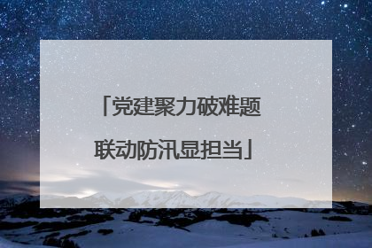 党建聚力破难题 联动防汛显担当