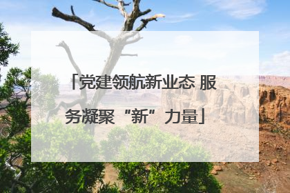党建领航新业态 服务凝聚“新”力量