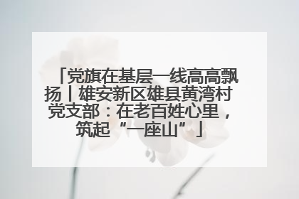 党旗在基层一线高高飘扬丨雄安新区雄县黄湾村党支部：在老百姓心里，筑起“一座山”