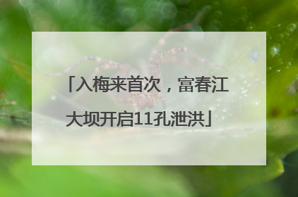 入梅来首次，富春江大坝开启11孔泄洪