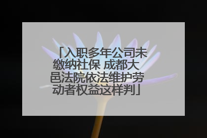 入职多年公司未缴纳社保 成都大邑法院依法维护劳动者权益这样判