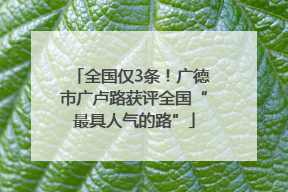 全国仅3条！广德市广卢路获评全国“最具人气的路”