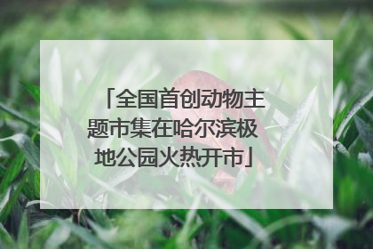 全国首创动物主题市集在哈尔滨极地公园火热开市