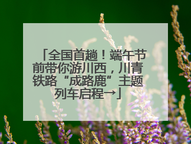 全国首趟！端午节前带你游川西，川青铁路“成路鹿”主题列车启程→