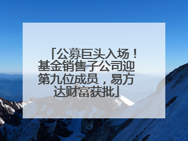 公募巨头入场！基金销售子公司迎第九位成员，易方达财富获批