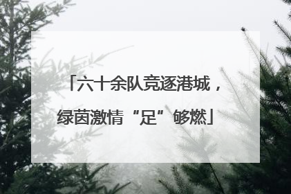 六十余队竞逐港城，绿茵激情“足”够燃