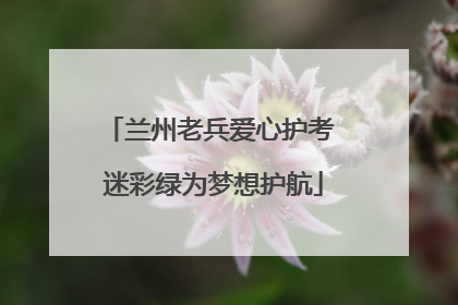 兰州老兵爱心护考 迷彩绿为梦想护航