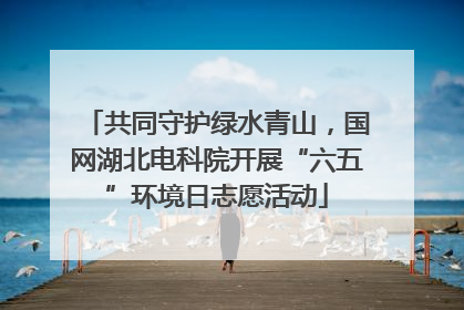 共同守护绿水青山，国网湖北电科院开展“六五”环境日志愿活动