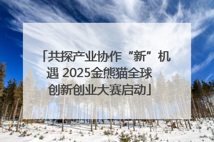 共探产业协作“新”机遇 2025金熊猫全球创新创业大赛启动